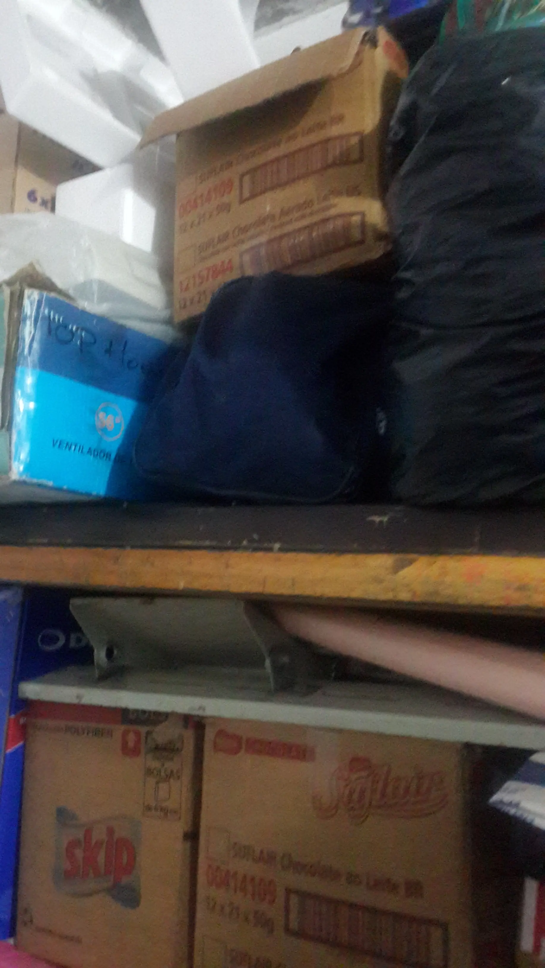 PASA LINCE