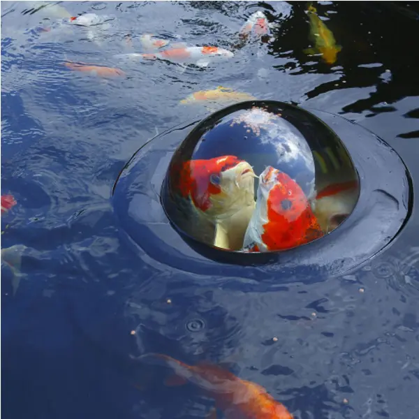 floating fish dome