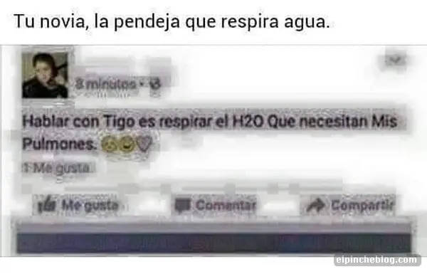 Lo Mejor de Facebook 2015 [MEGAPOST]