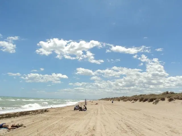 Si vienes a Valencia