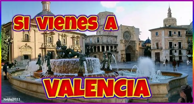 visitas