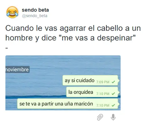 memes