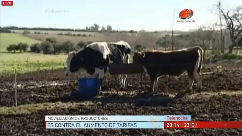 tractorazo