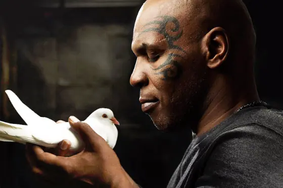 mike tyson palomas