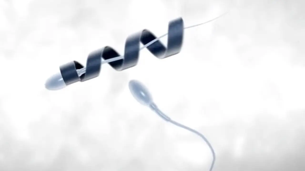 spermbot
