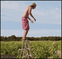 Te dejo unos Gifs para que te diviertas [Megapost] [2]