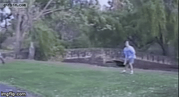 gifs animados graciosos