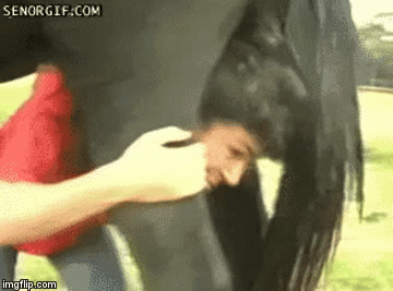 gifs animados
