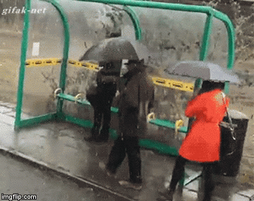 gif gracioso