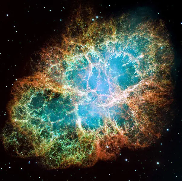 cosmos