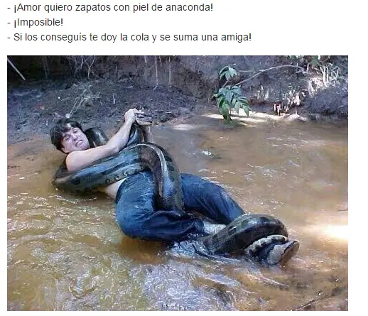 taringa