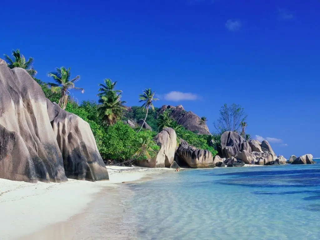 Supervivencia en una isla desierta