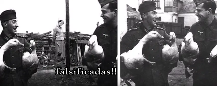 negacionismo