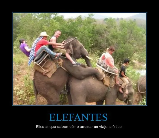 humor