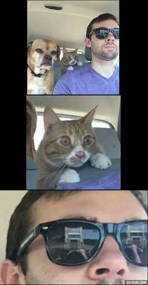 Chistes