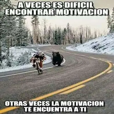 reis