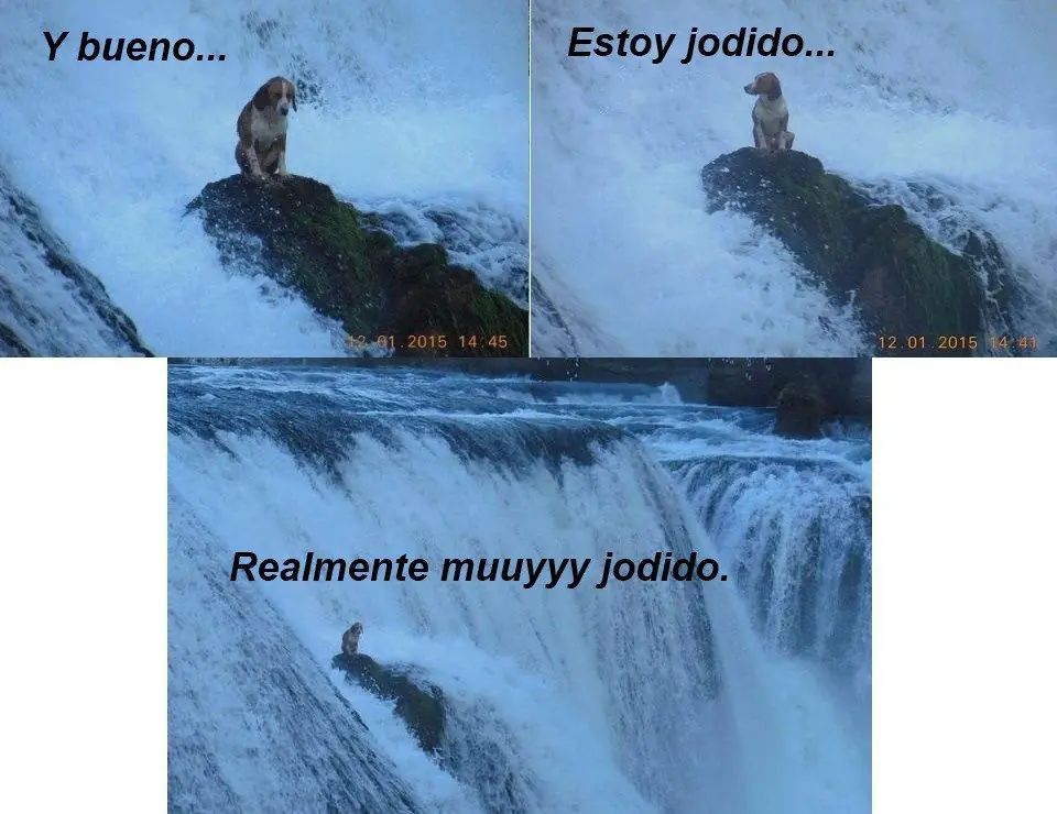 parte 3