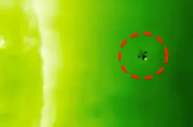 aliens