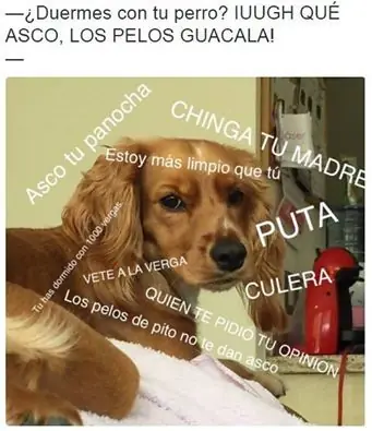 Chistes