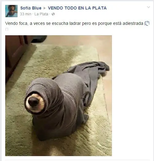 reis