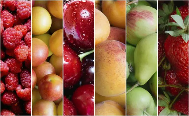 Las 10 mejores y las 10 "peores" frutas para tu salud....