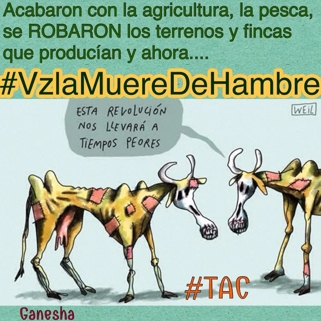 Ahora trabajo en el gobielno