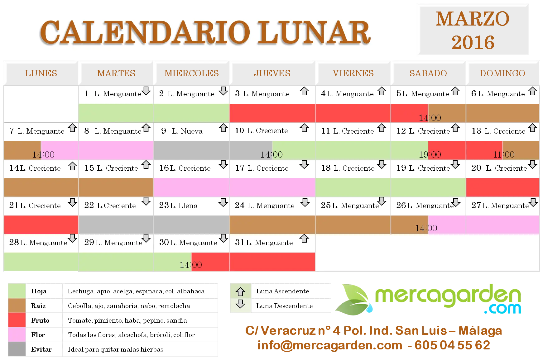Tareas del huerto Marzo