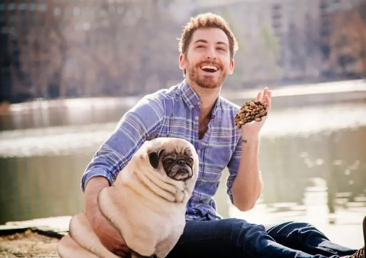 pug