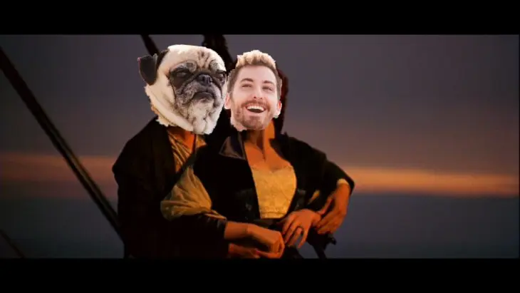 pug