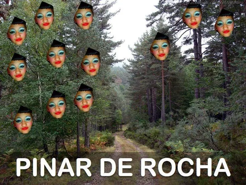 imagenes graciosas +5 si te reis