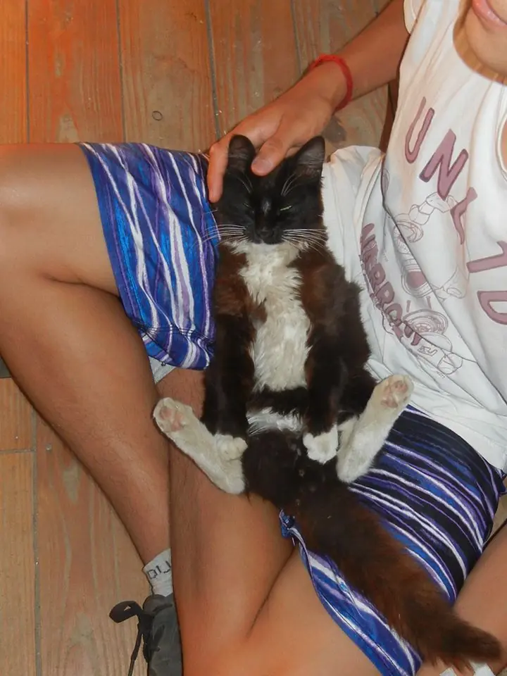 Taringa! me felicito y te lo muestro