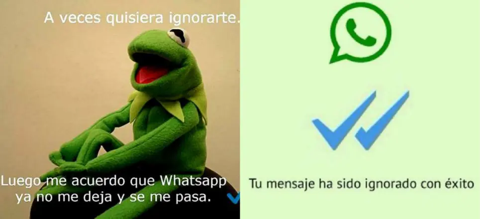 VEIDO VEIDO