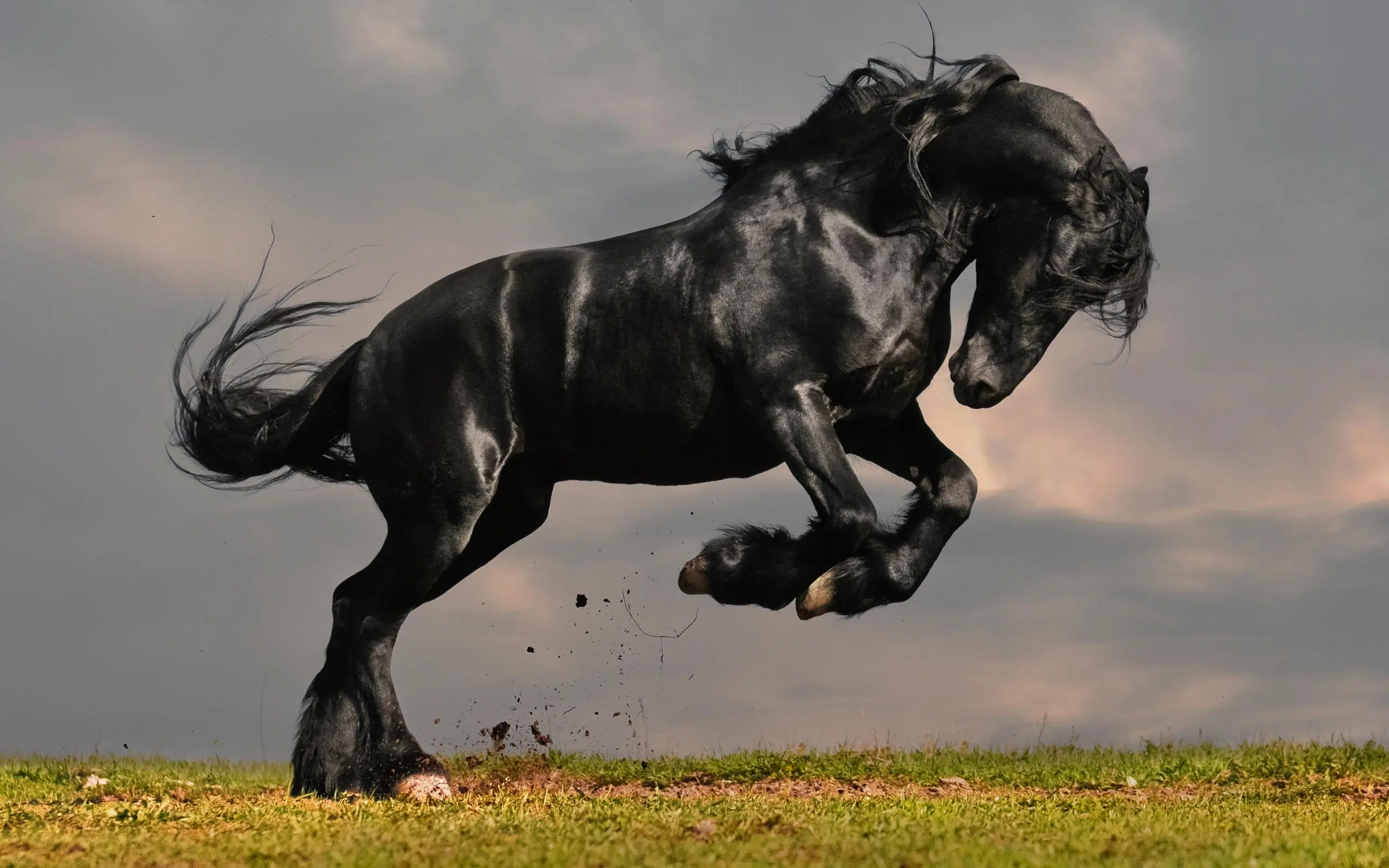 incluso mas que aquel pony con el que sonabas en tu infancia