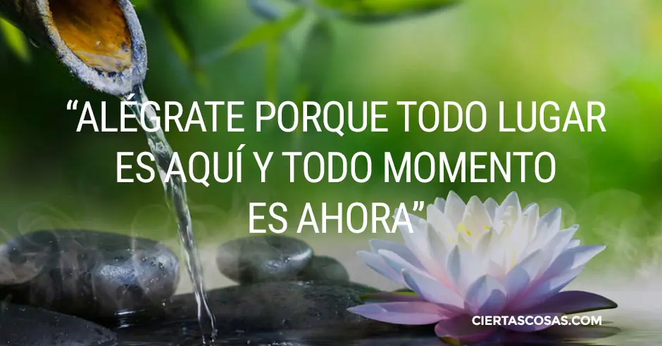 Reflexionar