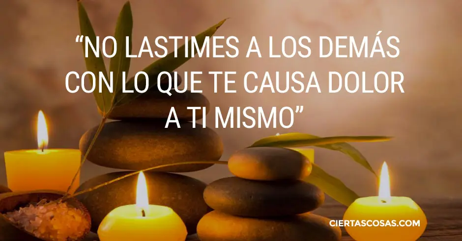 Reflexionar