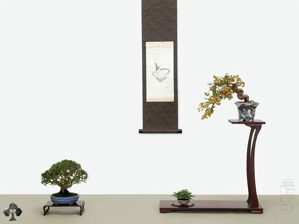 bonsais
