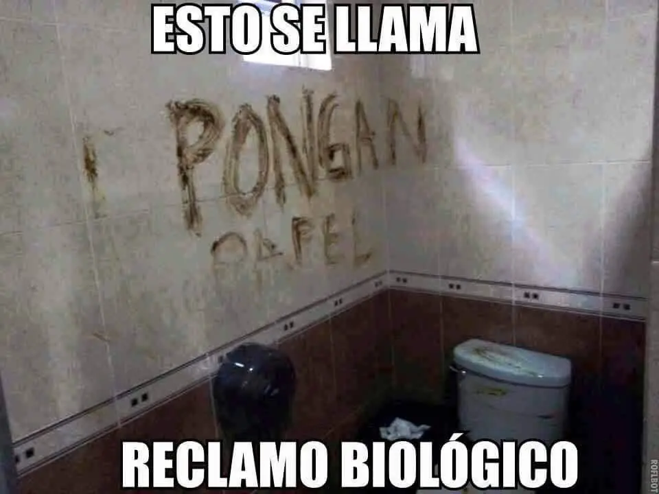 feliz
