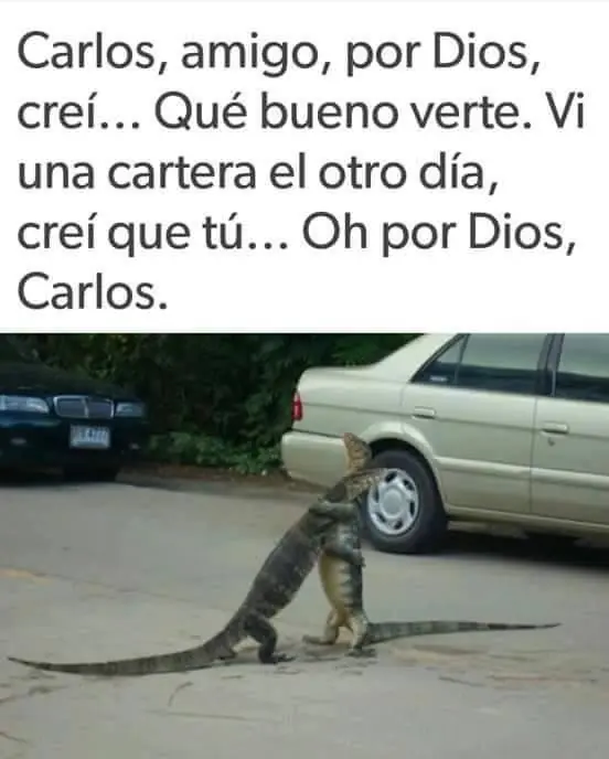 divertidas