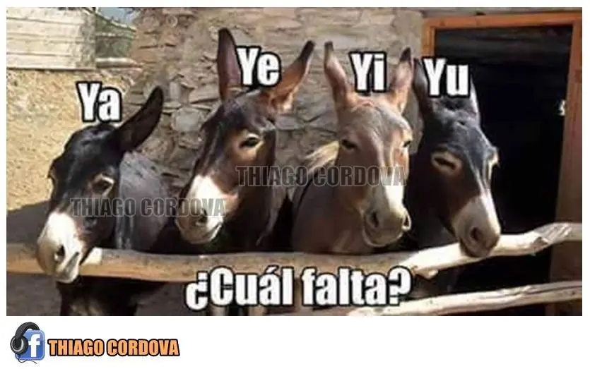 chistosas