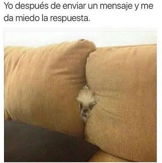 Imágenes divertidas, interesantes, y graciosas.