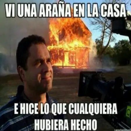 memes