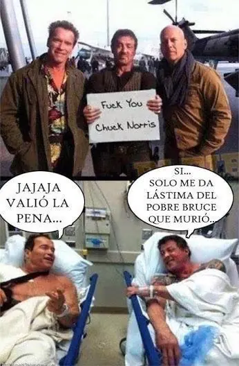 Hablemos de Chuck Norris y sus verdades Hablemos de Chuck Norris y sus verdades