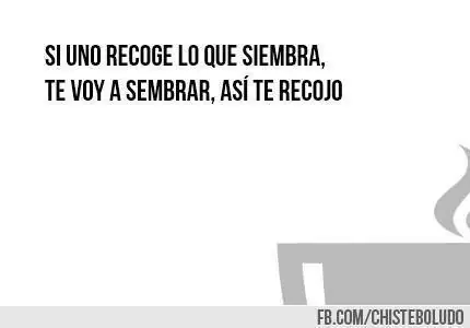 felicidad