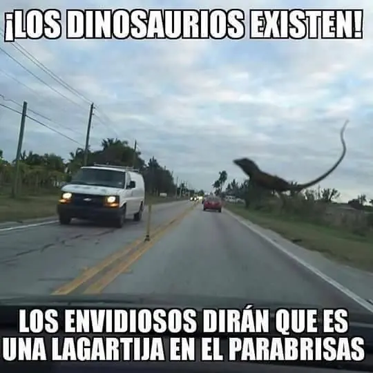 humor