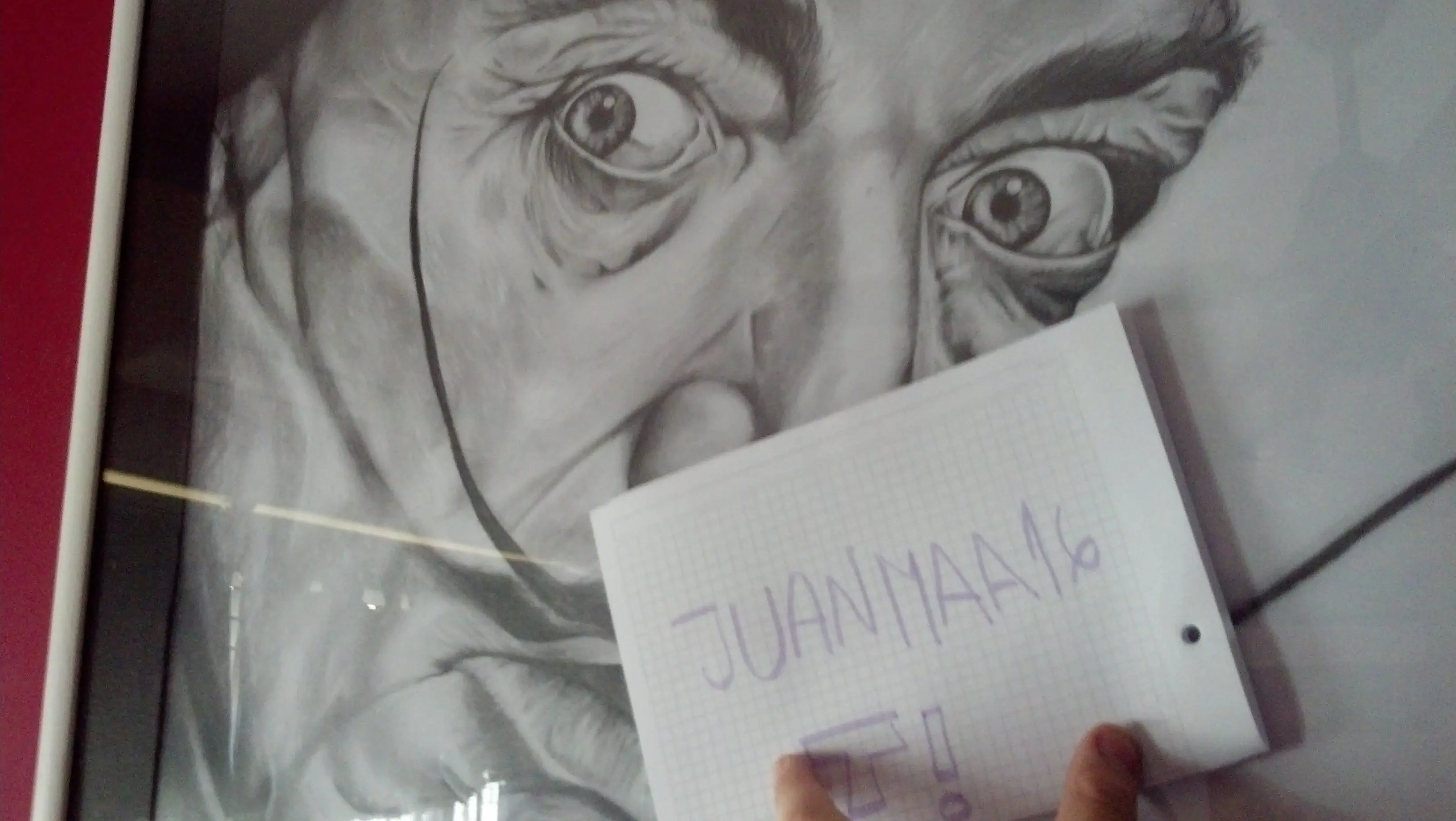 dubujos