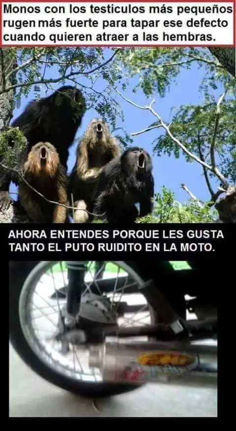 megapost