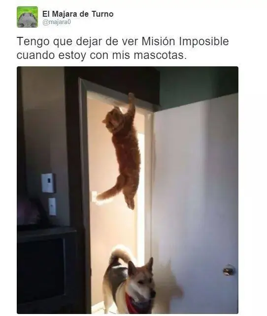 dicercion