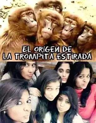 humor
