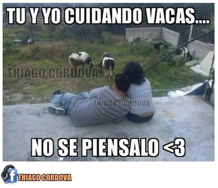 humor