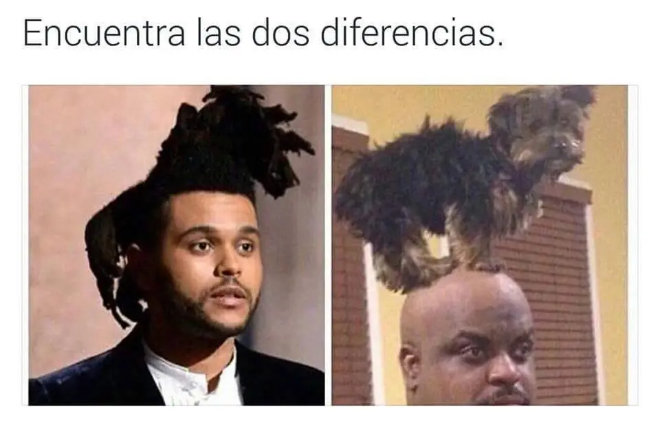 chistosas
